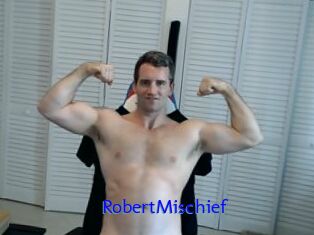 RobertMischief