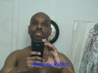 Rodney_Rabbit