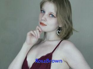 RosaBrown