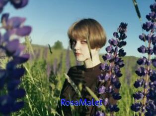 RosaMalet