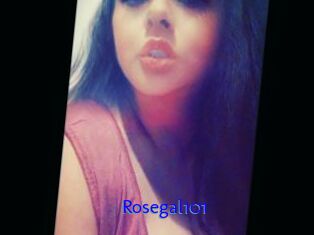 Rosegal101