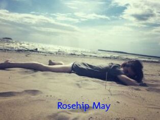 Rosehip_May