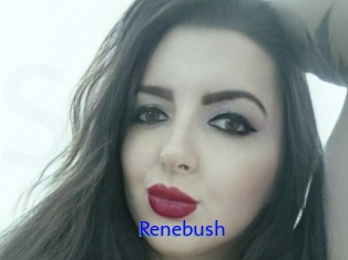 Renebush