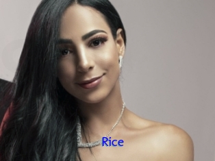 Rice