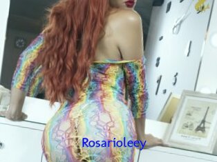 Rosarioleey