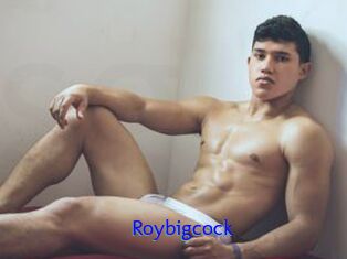 Roybigcock
