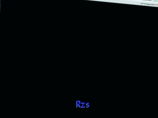 Rzs