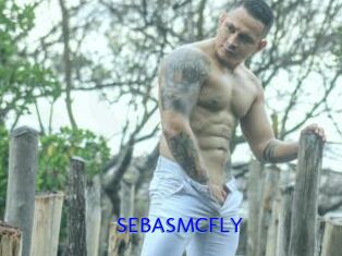 SEBASMCFLY