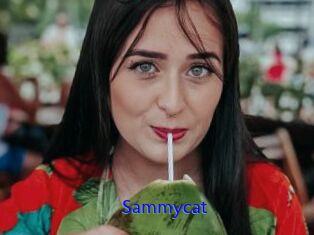 Sammycat