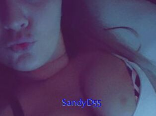 SandyD55