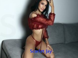 Scarlet_Jay