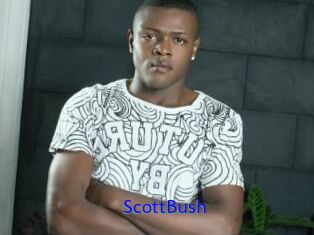 ScottBush