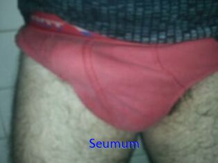 Seumum