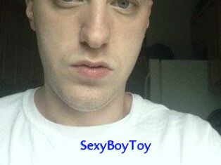 SexyBoyToy