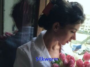 Silkworm