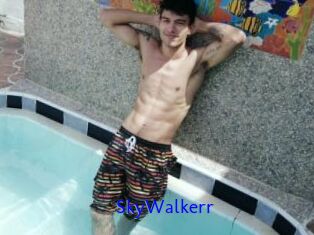 SkyWalkerr