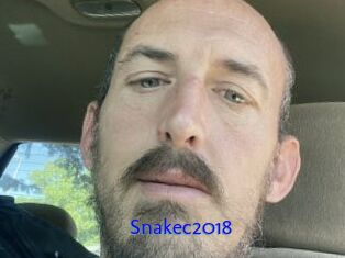 Snakec2018