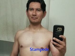 Stampede