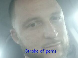 Stroke_of_penis