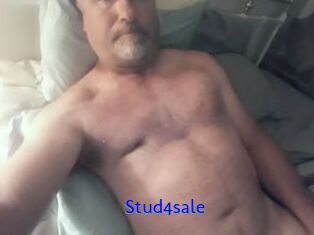 Stud4sale