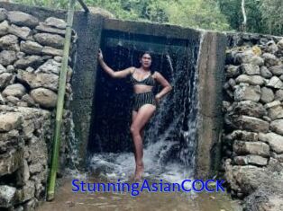 StunningAsianCOCK