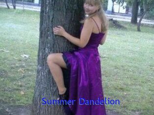 Summer_Dandelion