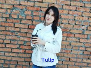 Tulip