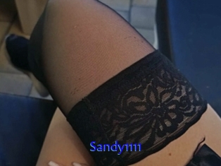 Sandy1111