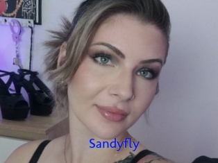 Sandyfly
