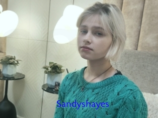 Sandyshayes