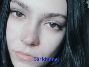 Saridunnel