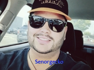 Senorgecko