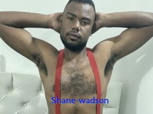 Shane_wadson