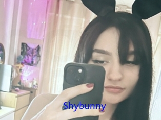 Shybunny