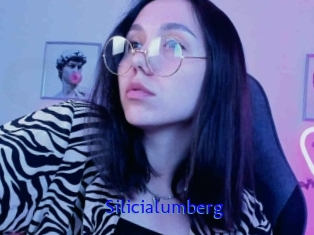 Silicialumberg