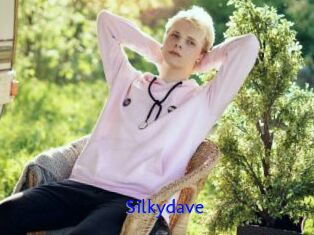 Silkydave