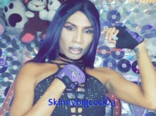 Skinnybigcock23