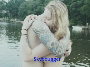 Skyebugger