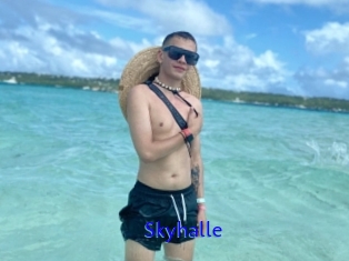 Skyhalle