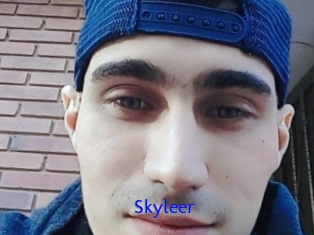 Skyleer
