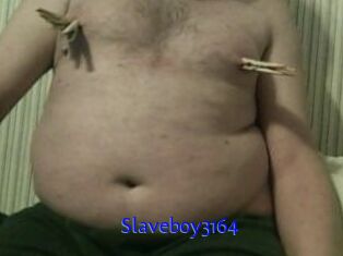 Slaveboy3164