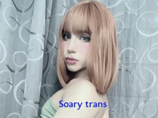 Soary_trans