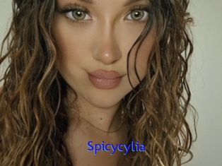 Spicycylia