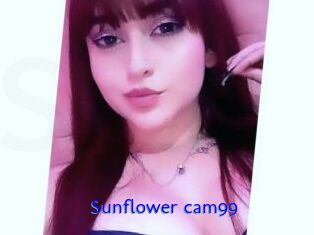 Sunflower_cam99