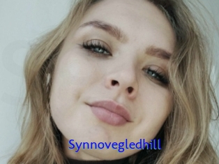 Synnovegledhill