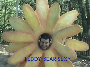 TEDDY_BEAR_SEXY