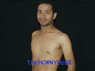 THEHORNYDUDE