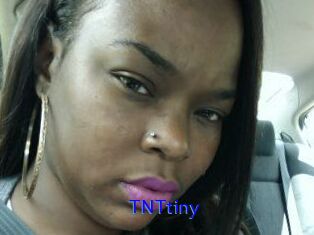 T_N_Ttiny