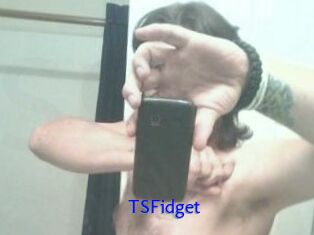 TSFidget