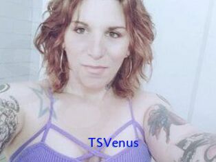 TS_Venus